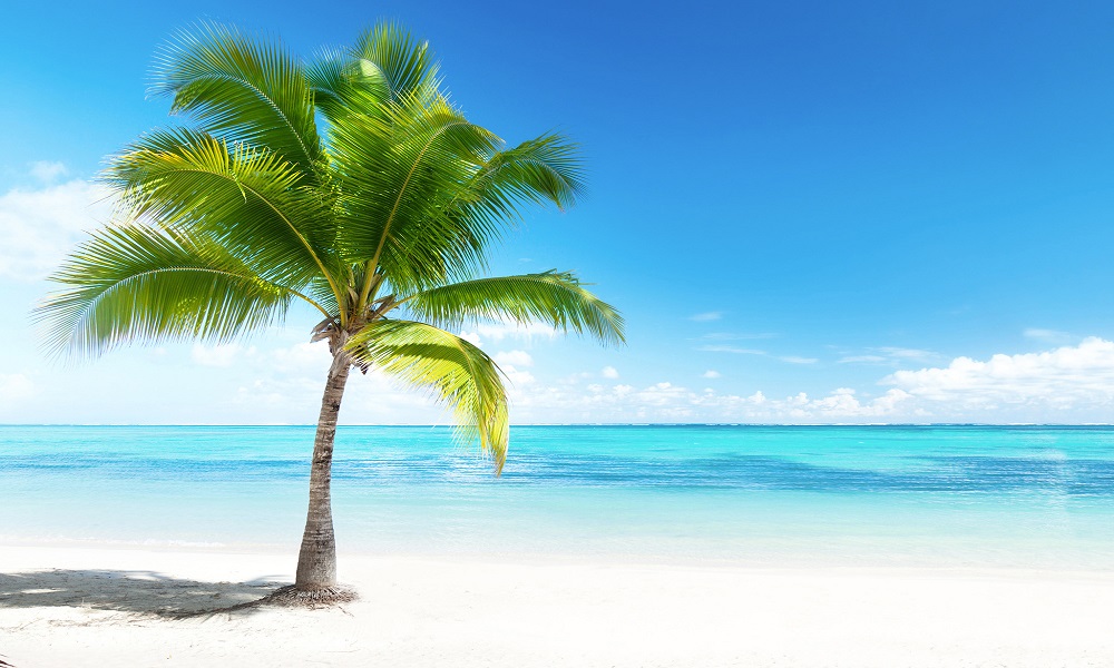 Vacances à petit prix | Transat