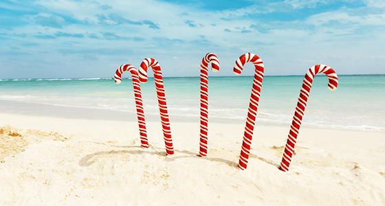 Christmas Holiday Vacation Packages 2022 Christmas Vacation Deals To The South | Transat