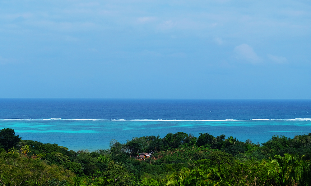 Last minute vacations honduras transat
