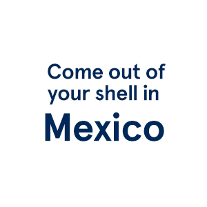 Last Minute Vacations >> Last Minute Vacations Mexico Transat Last Minute Vacations >> Last Minute Vacations Mexico Transat