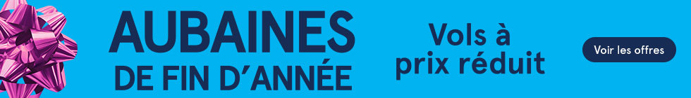 Aubaines de fin d'année. Vols à prix réduit. Voir les offres.