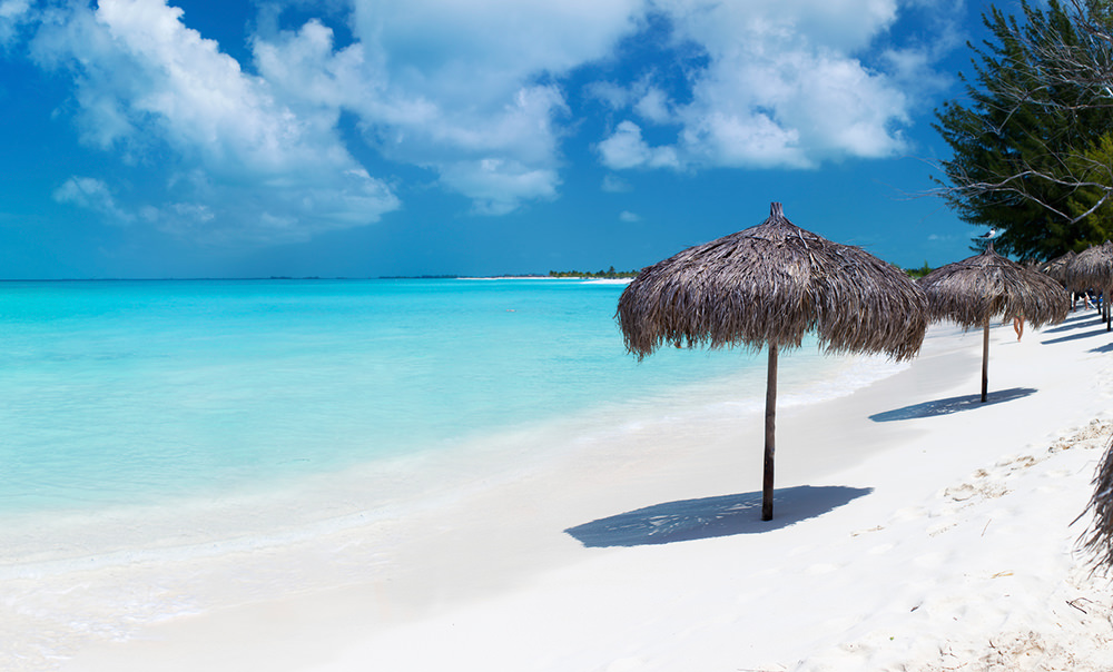 Cayo Largo Hotels All Inclusives Things To Do Transat