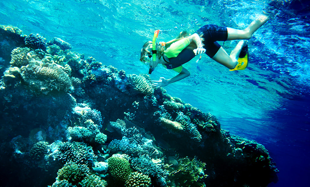Résultats de recherche d'images pour « villa jibacoa snorkeling »